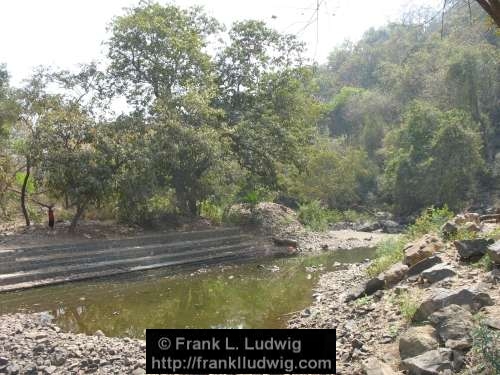 Sanjay Gandhi National Park, Borivali National Park, Maharashtra, Bombay, Mumbai, India